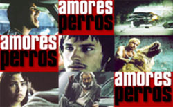 Amores Perros